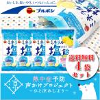 ブルボン ミネラル塩飴 94g 4袋 熱中症対策 熱中症 ウメ 梅 熱中症対策 熱中症 作業用 部活 現場 スポーツ アウトドア 登山 ランニング トレーニング