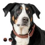 ハンター犬用首輪カナディアンアップ...