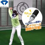  свинг-тренажер Golf основа элемент .. салон swing футболка DAIYA diamond diamond swing VS TR-5008 swing тренировка контейнер Golf swing daiya новый товар стандартный товар 
