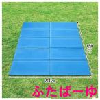 ショッピングプールマット キャンプマット 折りたたみ 200×150cm クローズドセル 厚み1cm デコボコ軽減 滑り止め お手入れ簡単 軽量 アウトドアマット フォームマット テントマット
