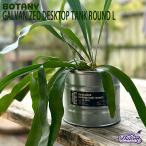GALVANIZED DESKTOP TANK ROUND Lgarubanaizdo настольный бак раунд L размер горшок покрытие садоводство декоративное растение Dulton DULTON