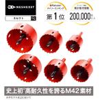 ホールソー ホルソー セット DIY雑誌ドゥーパ掲載モデル 38 45 50 55 65 75mm 6本セット 工具 NESHEXST ネセクト RD00シリーズ メーカー3年保証