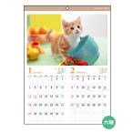 カレンダー 2026 壁掛け A2 ネコ写真