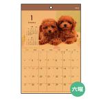 カレンダー 2026 壁掛け B4クラフト イヌ写真