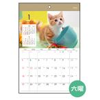 カレンダー 2026 壁掛け A4 ネコ写真