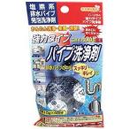 不動化学 【2593】強力タイプパイプ洗浄剤