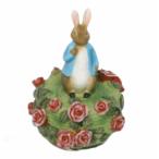  baby подарок музыкальная шкатулка Peter Rabbit празднование рождения праздник подарок подарок . день рождения сделано в Японии Movement новорожденный Elise поэтому . музыка приятный искривление 