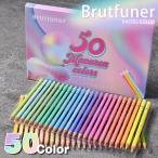 マカロン系 油性色鉛筆 色鉛筆 50色 塗り絵 絵具 マンガ 漫画 デッサン スケッチ NEK ★REVE1 7987875 美大生 絵画 葉書 ぬり絵 画材 美術 アート ポスター