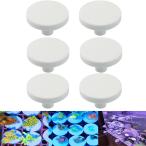 Selinear 水族館サンゴ プラグ 6個セット セラミック 珊瑚ベース Ｔ型 海水魚 珊瑚 育成 植物観賞 海洋水族館 (30mm)