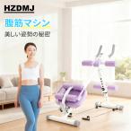 多機能 アブクラッシャー 腹筋マシン 腹筋ローラー ダイエット器具 フィットネス 筋トレ 全身トレーニング 折りたたみ式 静音 エクササイズ トレーニング