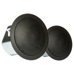 ( бесплатная доставка ) Control 12C/T-BKje- Be L JBL PROFESSIONAL динамик Control 12C/T-BK ( 2 шт )