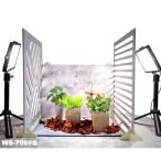 ( бесплатная доставка ) WS-700FS LPL web Studio полный комплект WS-700FS (L18587)