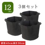  non-woven pot 12 gallon 3 piece non-woven planter 13 number 14 number plant pot felt planter light light weight kitchen garden deep pot felt cloth pot black free shipping 