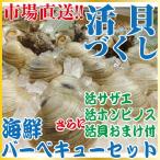 活貝づくし 海鮮バーベキューセット  約2-3人前(活サザエ約500g(4-6個前後)＋活ホンビノス約500g(4-8個前後)+お楽しみおまけ付)