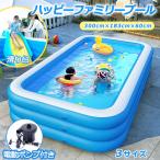 プール ビニールプール 家庭用 子供用 キッズプール ファミリープール 大型 水遊び 空気入れ ファミリープール 大型 滑り台 男の子 女の子 暑さ対策 熱中症予防