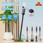 掃除機 コードレス 充電式 強力吸引 人気 サイクロン式 30000Pa 軽量ハンディ掃除機 5WAY USB-TypeC充電式 スティック 一人暮らし 省エネ 女性 車両用 2024最新