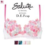 25%OFF 【送料無料】 ワコール Wacoal サルート salute 33グループ 33G プッシュアップ 3/4 D・E・Fカップ (下着 単品 ブラジャー レディース 女性) BTJ433