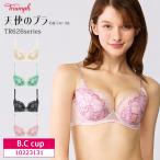 Triumph トリンプ 天使のブラ ブラジ
