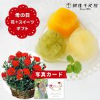 写真付きメッセージ 母の日 プレゼント ギフト 生花 花 カーネーション レッド 鉢植え 5号 と 千疋屋 ゼリー 3個  お菓子 お花とお菓子   (HSE)