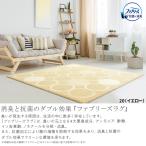 ファブリーズ（アスワン）消臭・抗菌ラグ キルナ 130×190cm CA6611-20・35