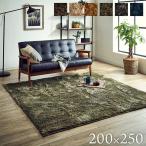 シャギーラグ ラグマット おしゃれ ラグ 洗える 制菌加工 カーペット ルフォン 約200×250cm 3畳 ホットカーペット対応  カバー 新生活