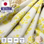 カーテン ドレープカーテン 幅100cm 2枚組 アナベル 完全遮光 1級遮光 遮光カーテン 防音 タッセル付き 省エネ 節電 日本製 国産 洗える CRE