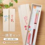 母の日 父の日 2025 箸 お箸 桐箱箸置き付 ペアミント 23cm 桐箱 箸置き ギフト 日本製 はし プレゼント 誕生日 敬老の日 実用的 桐箱入り 一膳箸 おしゃれ