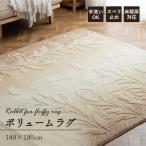 ラグ カーペット 2畳 おしゃれ ラグマット カシル 180×180cm 正方形 春 夏 オールシーズン リビング ボリュームラグ ホットカーペットカバー 洗える リーフ柄