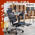 エルゴヒューマン プロ オットマン オフィスチェア メッシュ おしゃれ 正規品 Ergohuman Pro ottoman EHP-LPL ゲーミングチェア 内蔵型 椅子 テレワーク