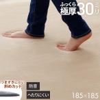 ラグ 2畳 厚手 30mm オールシーズン ラグマット やさしさ設計のラグ 185×185cm カーペット ホットカーペット対応 床暖房