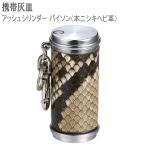 ペンギンライター アッシュシリン�