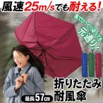 耐風傘 100cm 強風に耐える 裏返っても簡単に元通り タフな雨傘 BIGサイズ 携帯ポーチ付 折りたたみ傘 丈夫 メンズ レディース 風速25mまで対応 ◇ 耐風傘