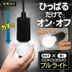 電球型マルチライト 多目的 LED コードレス照明 吊るせる×置ける カチッと引っぱるだけ 簡単スイッチON/OFF レトロ クローゼット 押入れ ◇ どこでもプルライト