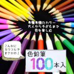 色鉛筆 100本セット 豪華 アートセット 専用クリアケース入り お絵かき 写生 POP作り 塗り絵 カラフル鉛筆 大量100本組 イラスト プレゼント ◇ 100本色えんぴつ