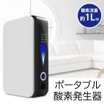 ショッピングDC 酸素発生器 家庭用 ポータブル 酸素発生装置 2電源 AC/DC 車載対応 酸素発生機 酸素吸入 チューブ2種 軽量＆小型 静音 送料無料 S◇ ポータブル酸素発生器