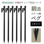 鍛造ペグ エリッゼステーク 28cm／6本セット タープ テント フラワーアーチ 固定 キャンプ アウトドア ペグ抜きやすい丸穴 丈夫 頑丈ペグ S◇ ペグ28cm