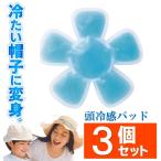 【1個 259円】ひんやり帽子 3個セット アイスパッド 頭 冷やす 熱中症対策 冷却シート 冷感マット 保冷剤 冷たい スポーツ 大人 子供 /60N◇ ひんやり帽子3個