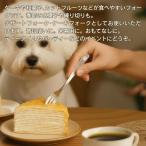 ステンレスフォーク �