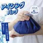 氷嚢 氷のう スポーツ アイシング アイスパック 少し大きめサイズ 熱中症対策 保冷枕 発熱 怪我 氷のうパック 肩 肘 膝 首 部活 筋肉痛 冷やす /60N◇ アイスM