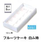 B21510 フルーツケーキ白無地 10ヶ用（100枚）（箱のみ）※トレーは別売りです ケーキ箱 パッケージ中澤