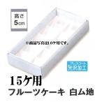 B21520 フルーツケーキ白無地 15ヶ用（100枚）（箱のみ）※トレーは別売りです ケーキ箱 パッケージ中澤