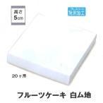 B21530 フルーツケーキ白無地 20ヶ用（100枚）（箱のみ）※トレーは別売りです ケーキ箱 パッケージ中澤
