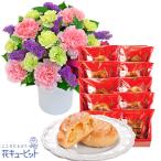 【お祝いセットギフト】花キューピット 誕生日 退職 結婚 記念日 生花 フラワーギフトピンクと紫のアレンジと【シュシュ】ポム・ママン 10個入