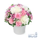 お盆 新盆 初盆 供花 お悔やみ お供え お供えのアレンジメント