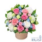 【クリスマスフラワー】花キューピット プレゼント ギフト 誕生日 記念日 Xmas 彼氏彼女 夫婦 ピンクバラのポットアレンジメント