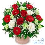 【クリスマスフラワー】花キューピット プレゼント ギフト 誕生日 記念日 Xmas 彼氏彼女 夫婦 バラとガーベラのポットアレンジメント