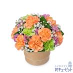 ペット用フラワーギフト・お供え ペット 供花ペットのお供えのアレンジメント