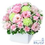 ペット用フラワーギフト・お供え ペット 供花ペットのお供えのアレンジメント