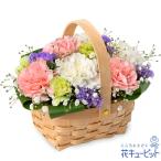 【ペット用フラワーギフト・お供え】花キューピット ペット 供花ペットのお供えのアレンジメント