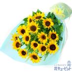 ひまわり特集 お中元 暑中見舞い お祝い ひまわりの花束